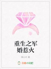 重生之军婚惹火