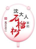 沈大人家的石榴树