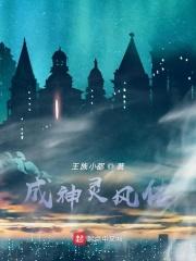 成神灵风传