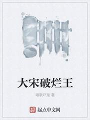 大宋破烂王