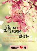 嫣然巧盼落你怀