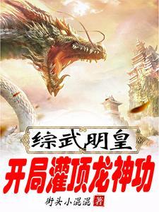 开局满级龙神功，执掌大明