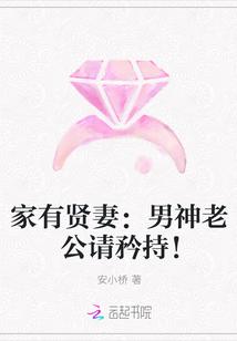 家有贤妻：男神老公请矜持！