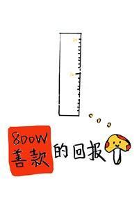 800w善款的回报