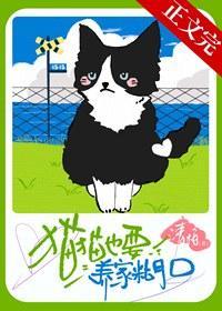 猫猫也要养家糊口