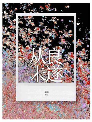 从良未遂