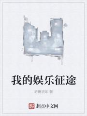 我的娱乐征途