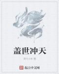 盖世冲天