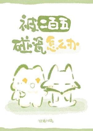 被二百五碰瓷怎么办