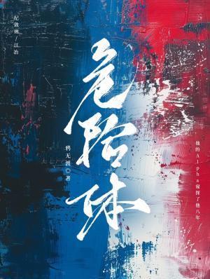 危险体