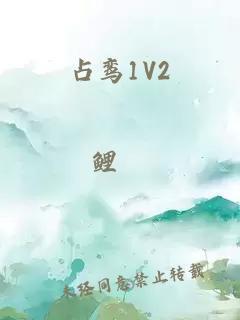 占鸾1V2