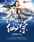 不一样的仙宗