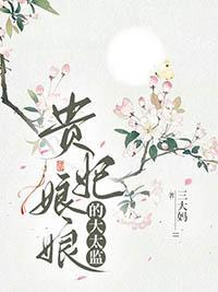 贵妃娘娘的大太监